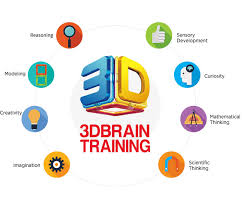 3d brain training